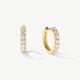 "Circle of Radiance" Lab Grown Diamond Hoop Earrings in 14K Yellow Gold