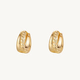 Chunky Textured Hoop Earrings For Women Image丨Agvana Jewelry